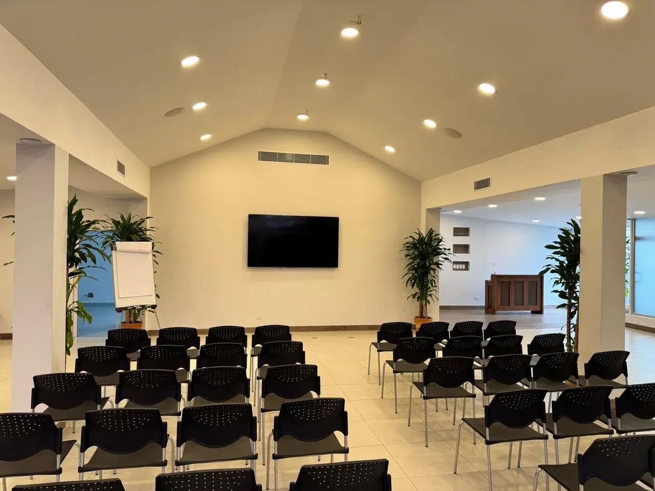 Salon principal vista 3